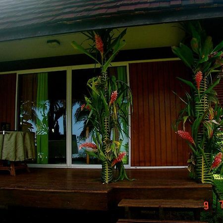 Tauhanihani Village Lodge La Vague Bleue Teahupoo Kültér fotó