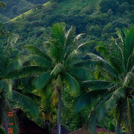 Tauhanihani Village Lodge La Vague Bleue Teahupoo Kültér fotó