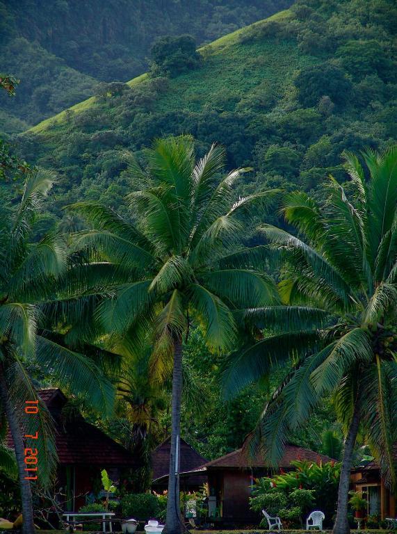 Tauhanihani Village Lodge La Vague Bleue Teahupoo Kültér fotó